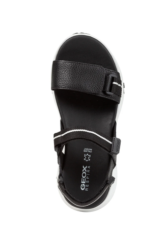 SORAPIS + GRIP