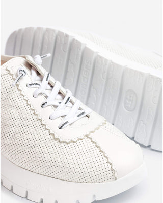 #Couleur_Blanc