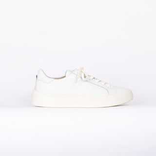 #Couleur_Blanc