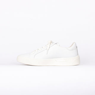 #Couleur_Blanc