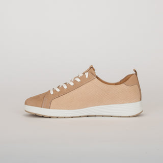 #Couleur_Beige