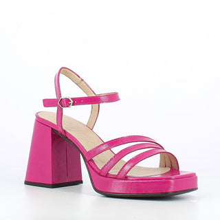 #Couleur_Fuchsia