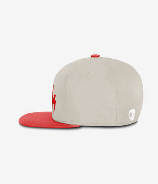 SNAPBACK