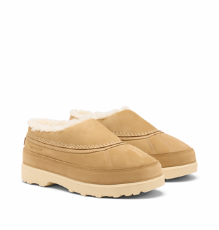 AMBLER FIRESIDE