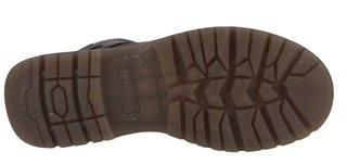 PALOMA 01