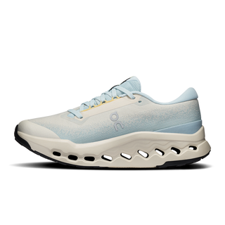 CLOUDSURFER 2