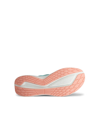 BIOM 2.2 W