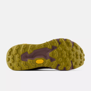 FRESH FOAM X