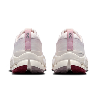 CLOUDSURFER