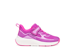 J PRO-RAN