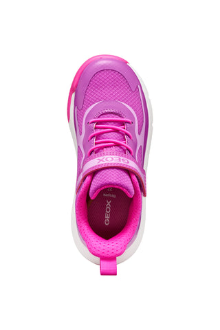 J PRO-RAN