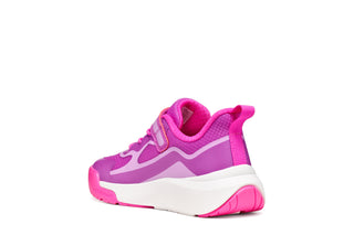 J PRO-RAN