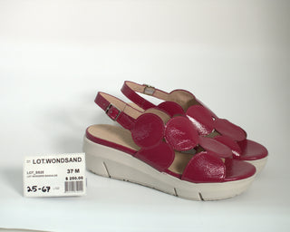 LOT.WONDSAND.25 - 67
