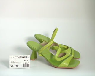 LOT.HISSAND.25 - 171