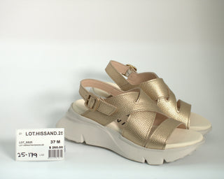 LOT.HISSAND.25 - 179