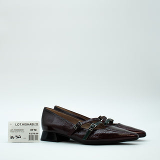 LOT.HISHABI.25-562